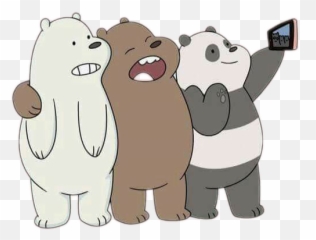 Oso Pardo Y Polar Transparent Png - Oso Polar Y Panda,Oso Png