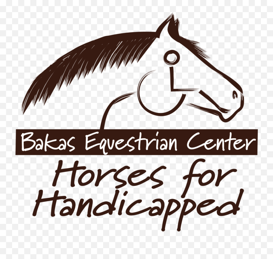 Bakas Equestrian Center - Bakas Horses For Handicapped Png,Horse Transparent