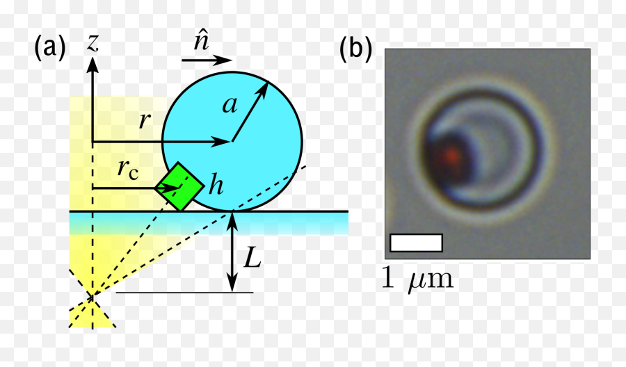 Trochoidal Trajectories Of Self - Propelled Janus Particles In Circle Png,Laser Beam Png