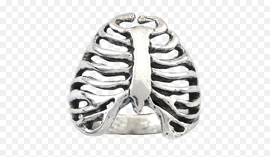 Download Sterling Silver Rib Cage Ring - Raven Blackwood Rib Png,Rib Cage Png