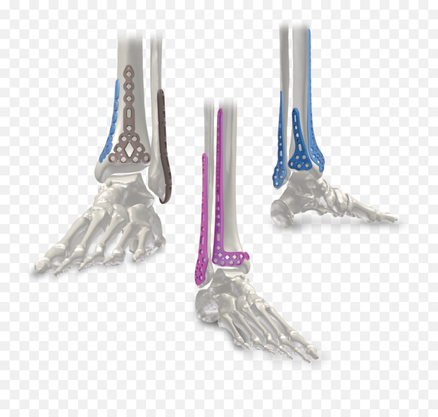 Aos - Prosthetics Mechanic Png,Fibonacci Png