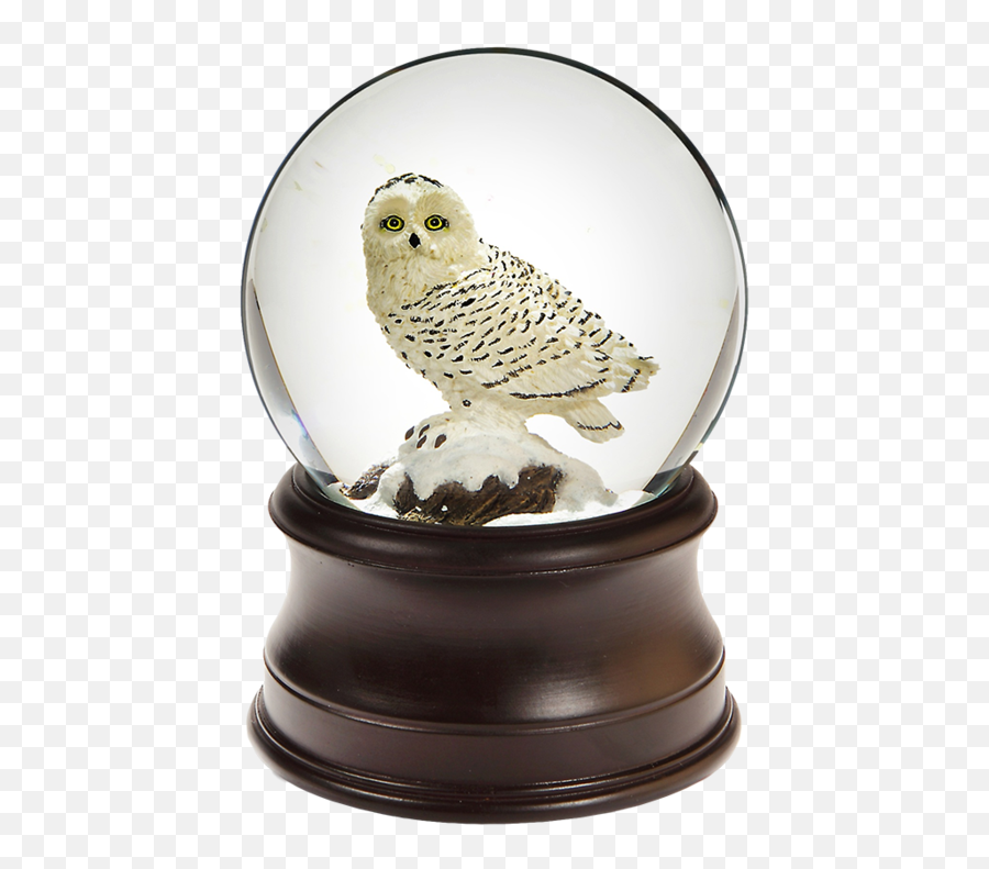 Snowglobe Png - Owl Snow Globe,Snowglobe Png