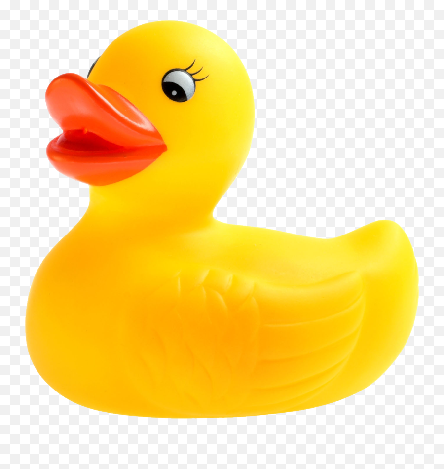 Rubber Duck Png - Transparent Background Duck Png,Duck Transparent Background