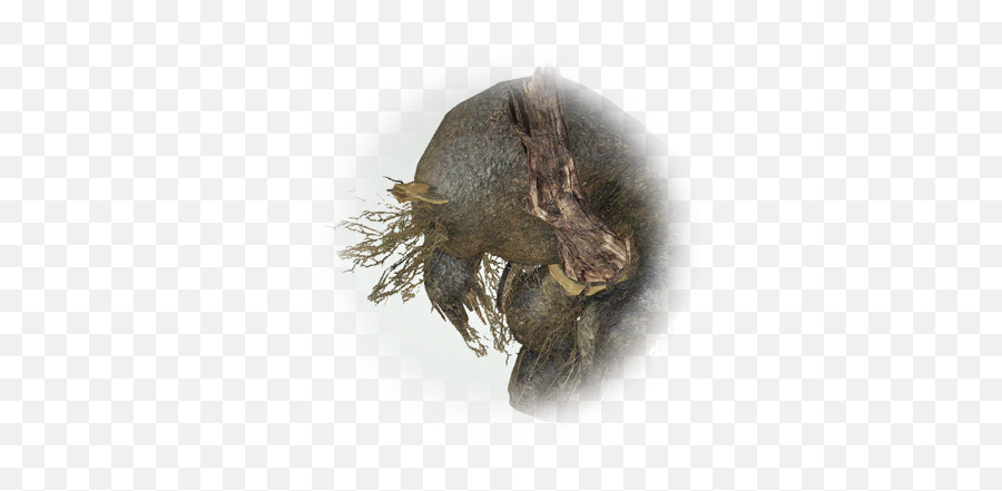 Bdo Ruins Monster Knowledge Database Guide - Art Png,Ruins Icon