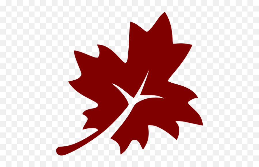 Maroon Leaf 3 Icon - Free Maroon Leaf Icons Icon Png,Red Maple Leaf Icon