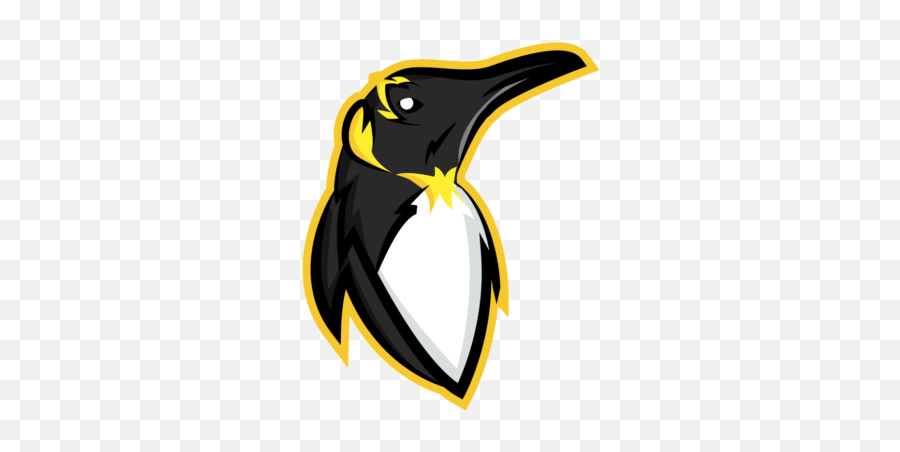 Penguin Logo Mascot Design Graphic - Penguin Png,Facebook Icon Penguin