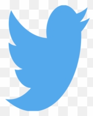 Twitter Princess Pictures Wiki Fandom - Logo Png