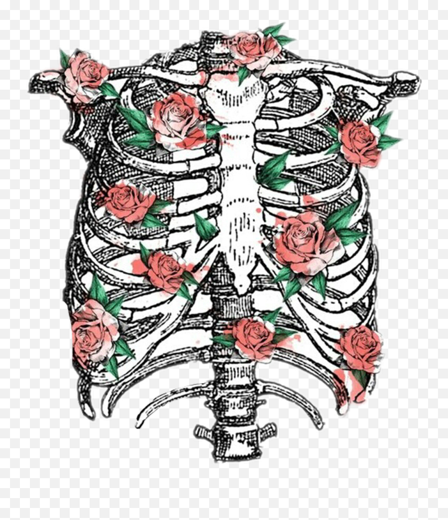 Download Hd Ribcage Sticker - Rib Cage Transparent Ribcage Art Transparent Png,Cage Transparent