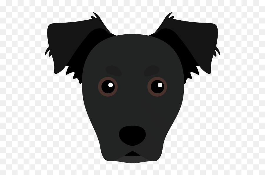 Sheriffu0027 Personalized Dog Bandana Yappycom - Ancient Dog Breeds Png,Finn Icon