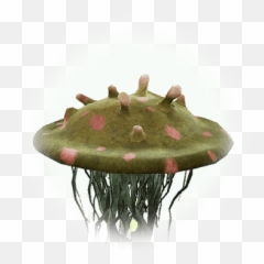 Bdo Jellyfish Knowledge Database Guide - Aquarium Decor png