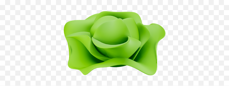 Cabbage Icon - Download In Colored Outline Style Png,Cabbage Icon