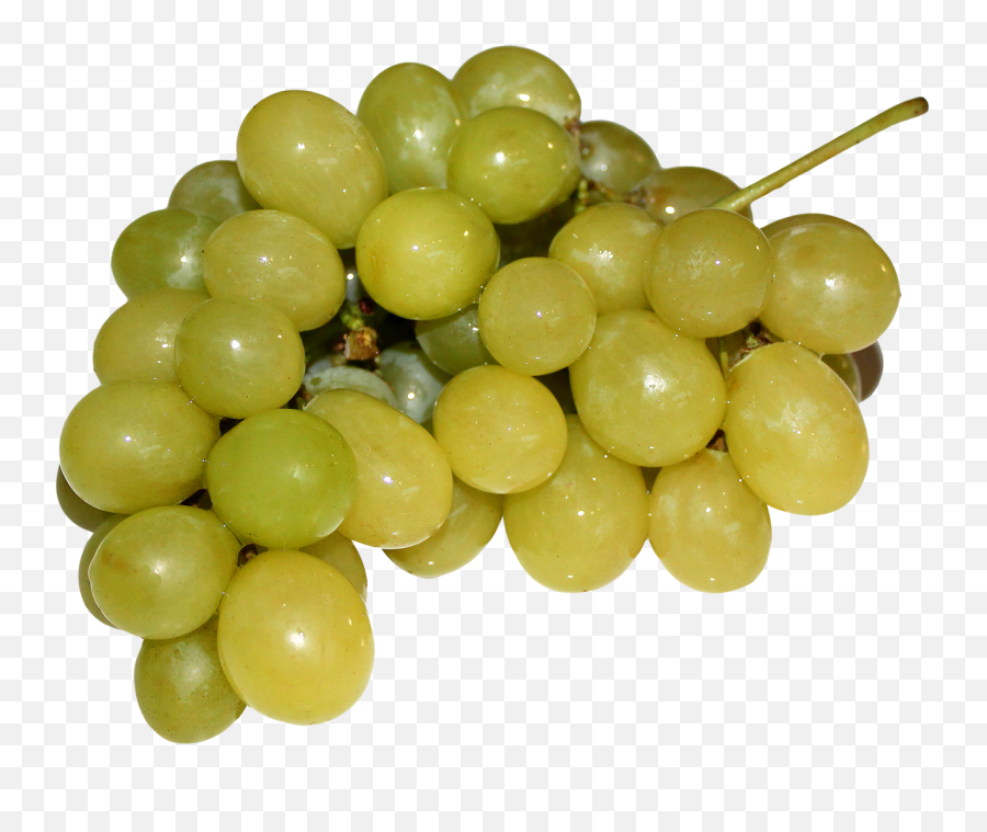 Grapes Png Image - Pngpix Grape,Grapes Png