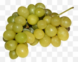 Grapes Png Image - Pngpix Grape,Grapes Png