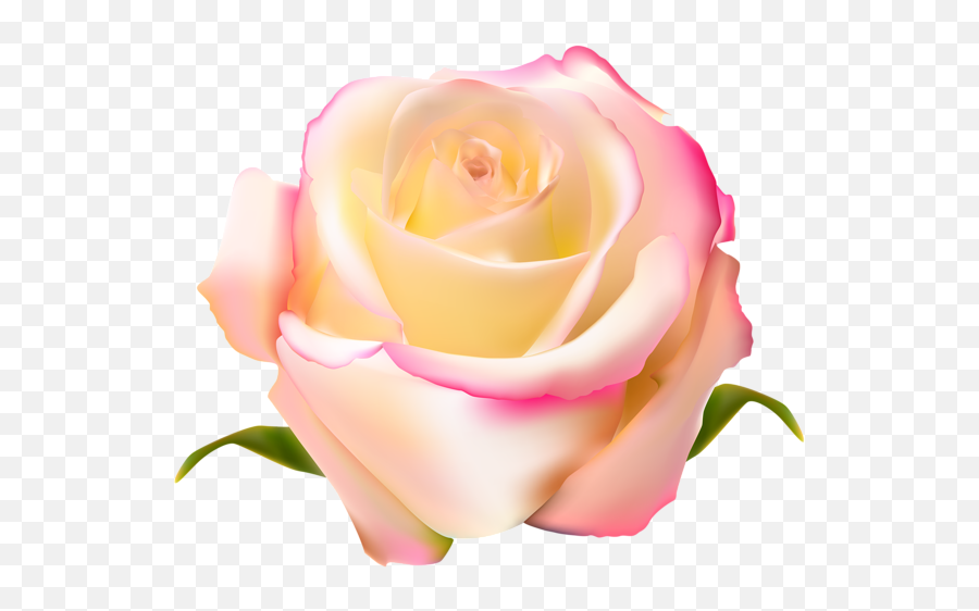 Pink Rose Clipart Gulab - Pink And Yellow Rose Png Full Rose,Pink Rose Png