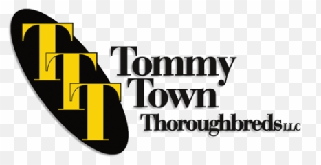 Ministers Wild Cat Offspring Complete Exacta - Tommy Town Rancho Ttt Santa Ynez png