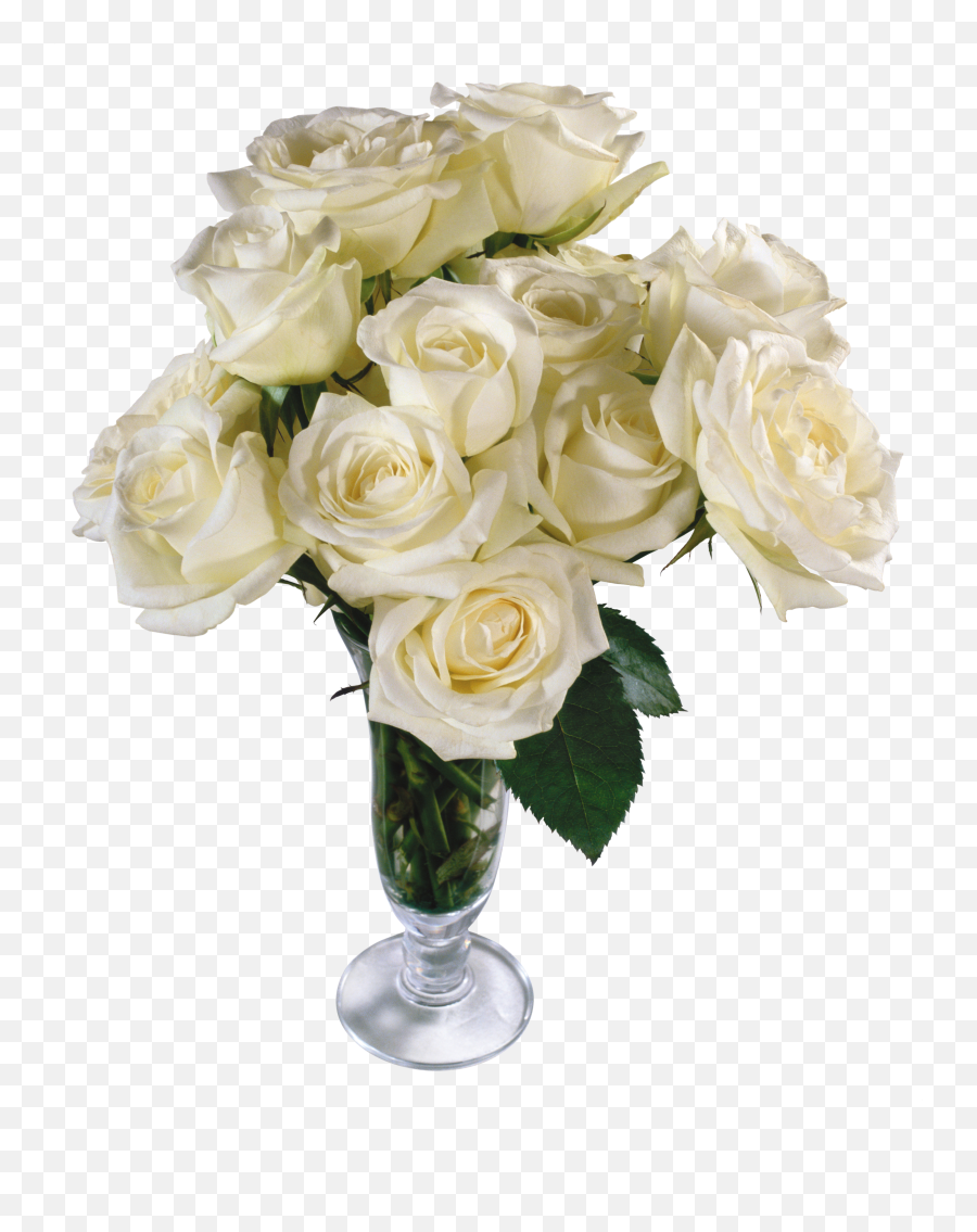 Bouquet Of White Roses Png Picture 461599 - White Flower Bouquet No Background,Black And White Rose Png