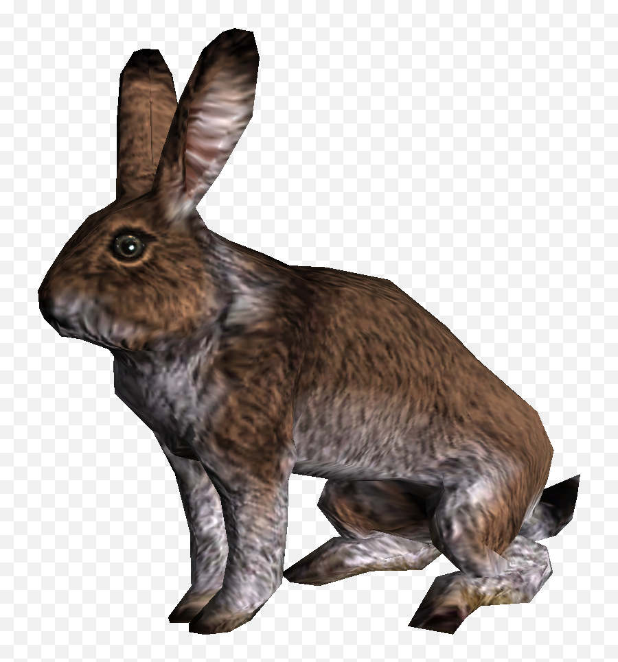 Rabbit - Skyrim Wiki Skyrim Rabbit Png,Rabbit Png