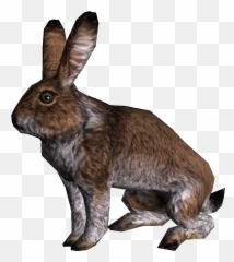 Rabbit - Skyrim Wiki Skyrim Rabbit Png,Rabbit Png