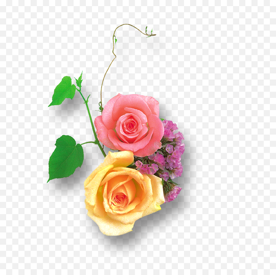Transparent Clipart Image Light Yellow - Portable Network Graphics Png,Pink Roses Png