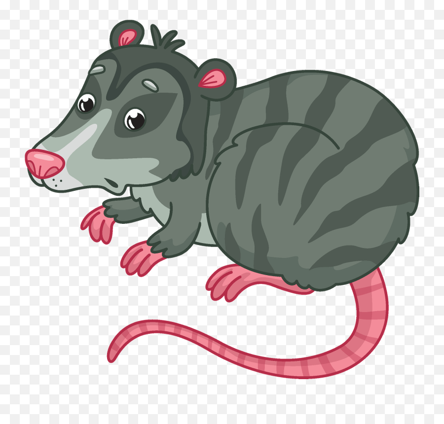 Opossum Clipart - Rat Png,Opossum Png