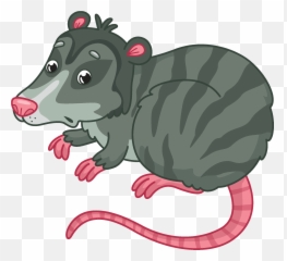 Opossum Clipart - Rat Png,Opossum Png