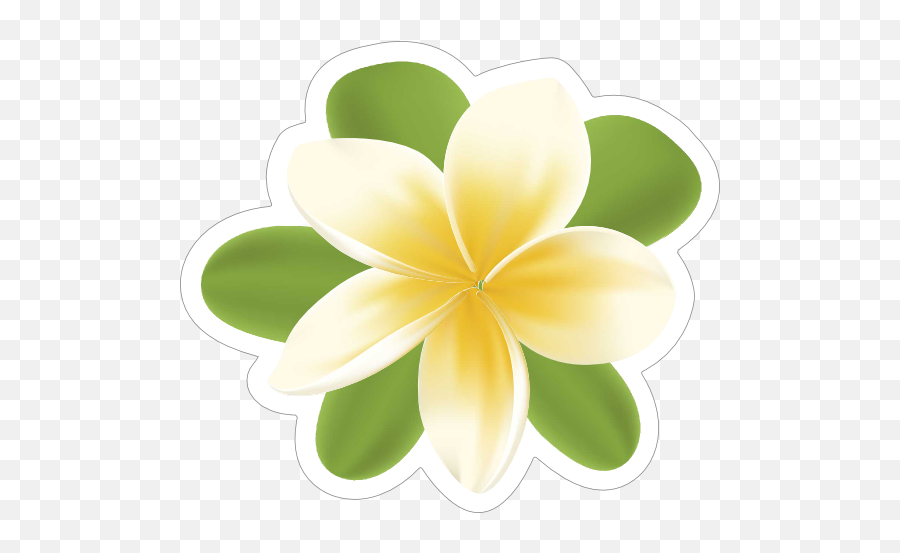 Plumeria Flower Sticker - Frangipani Png,Plumeria Flower Png