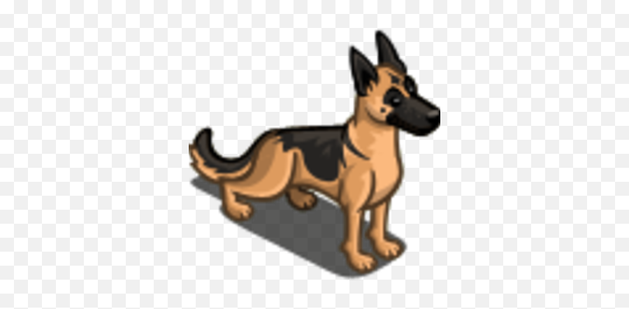 German Shepherd - Old German Shepherd Dog Png,German Shepherd Png