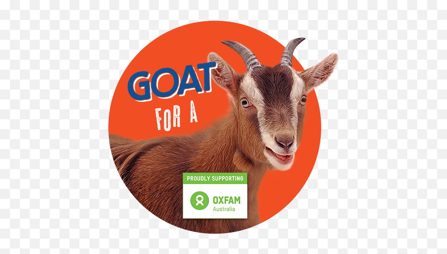 Goat Lager Cans Liquor Barons - Oxfam Png,Goat Transparent