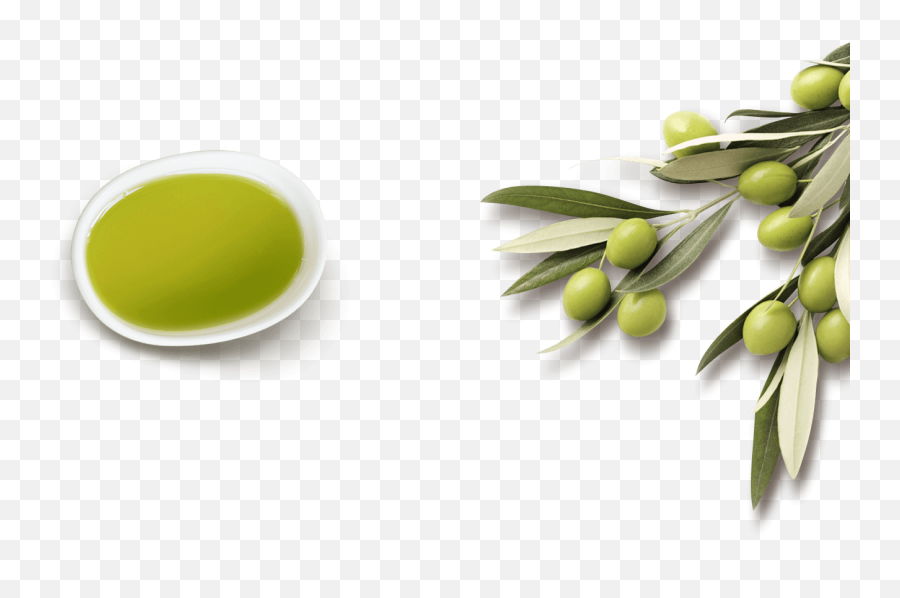 Olive Oil Png Image With No Background - Sayama Tea,Olive Oil Png