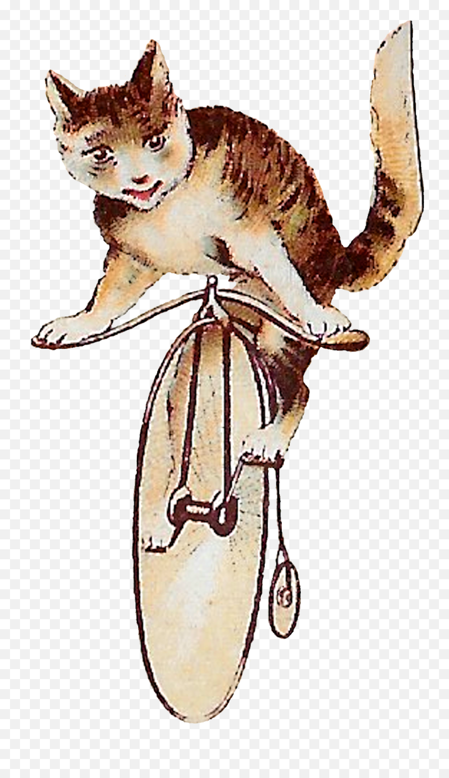 Tabby Cats Riding Antique Bicycle - Squitten Png,Kitten Png