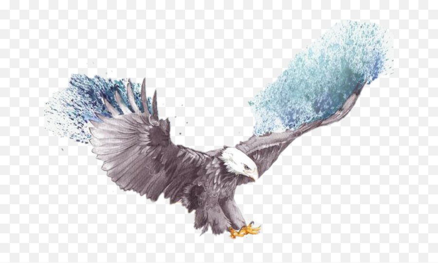 Download Hd Flying Eagle Sketch Transparent Png Image - Flying Eagle Eagle Drawing,Eagle Flying Png