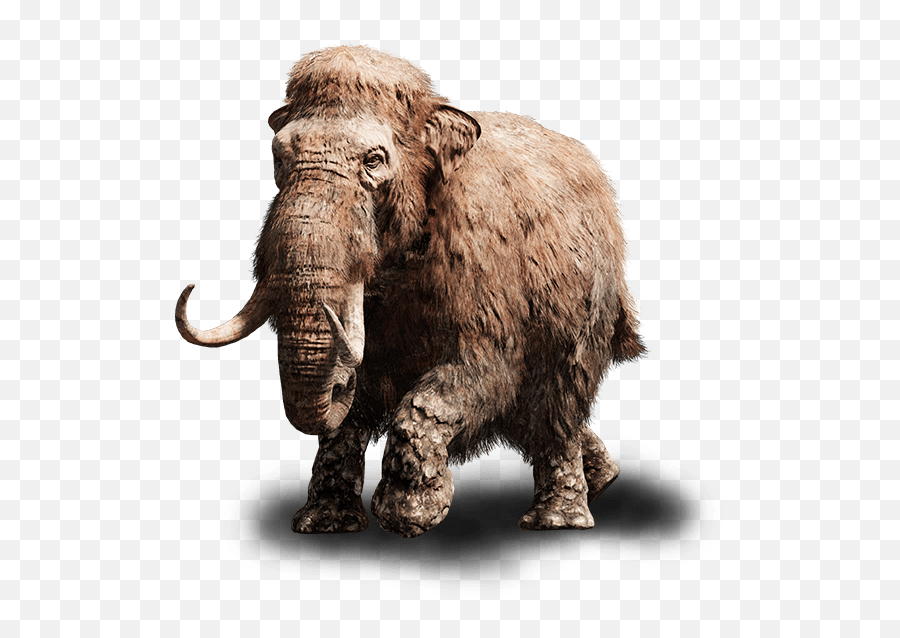 Far Cry Primal Baby Mammoth Png - Far Cry Primal Woolly Mammoth,Mammoth Png