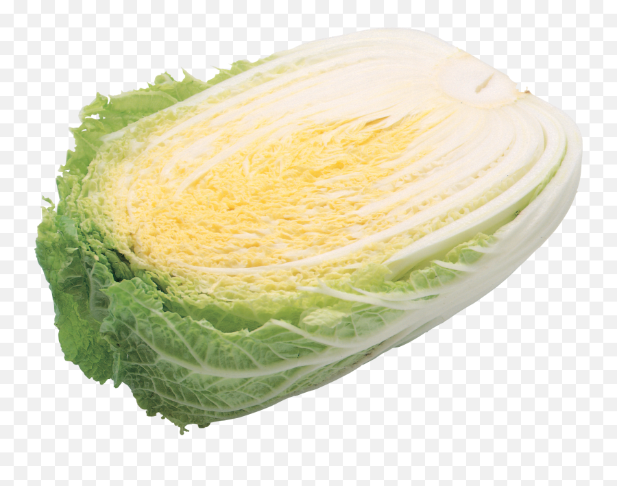 Salad Png Free Download 1 - Napa Cabbage,Salad Png