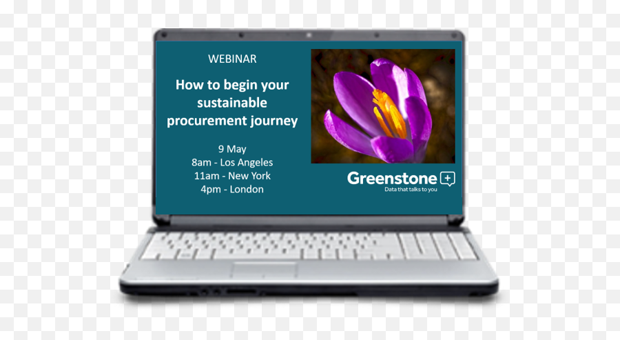Webinar How To Begin Your Sustainable Procurement Journey - Laptop Png,Webinar Icon