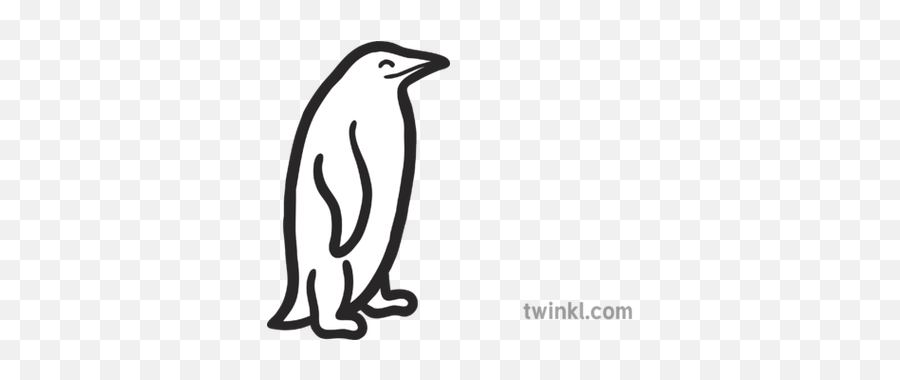 Penguin Map Icon Antarctic Bird - Penguin Png,Penguins Icon