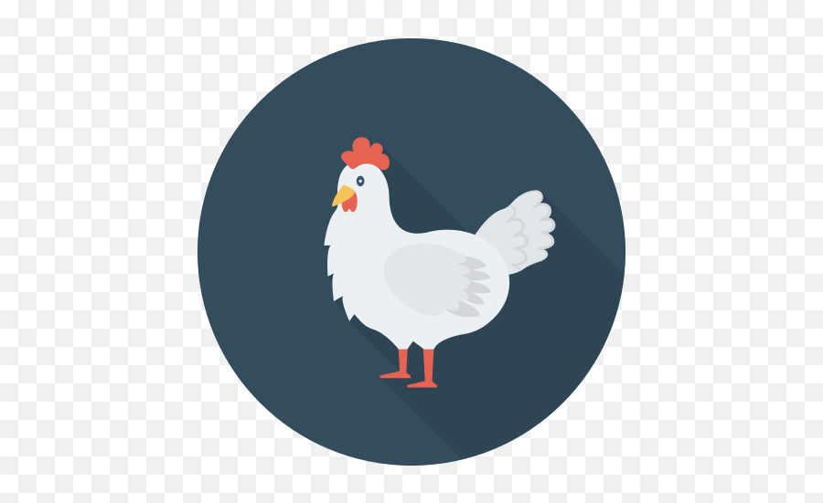 Chicken - Poultry Icon Png,Chicken Icon Png