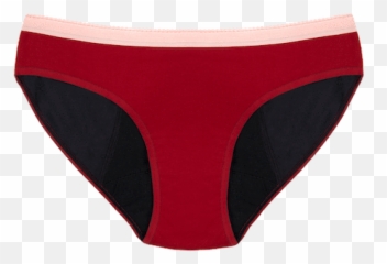 Thinx Btwn Bikini - Solid png