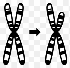Limitations Of Genome Sequencing - Dot png