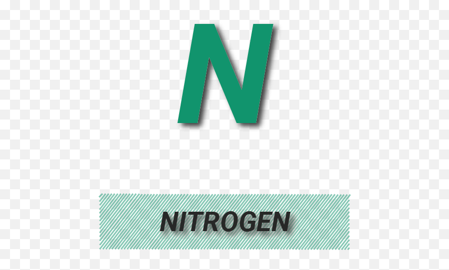 Nitrogen Icon 500x500 - Vertical Png,Nitrogen Icon