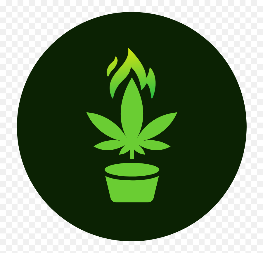 Explore Wildfire Maine Recreational Marijuana 04901 - Language Png,Recreational Marijuana Icon