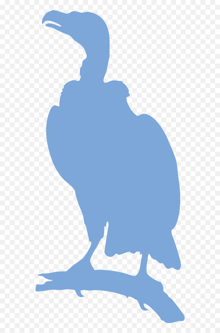 Vulture Silhouette Bird Of - Free Vector Graphic On Pixabay Flightless Bird Png,Prey Icon