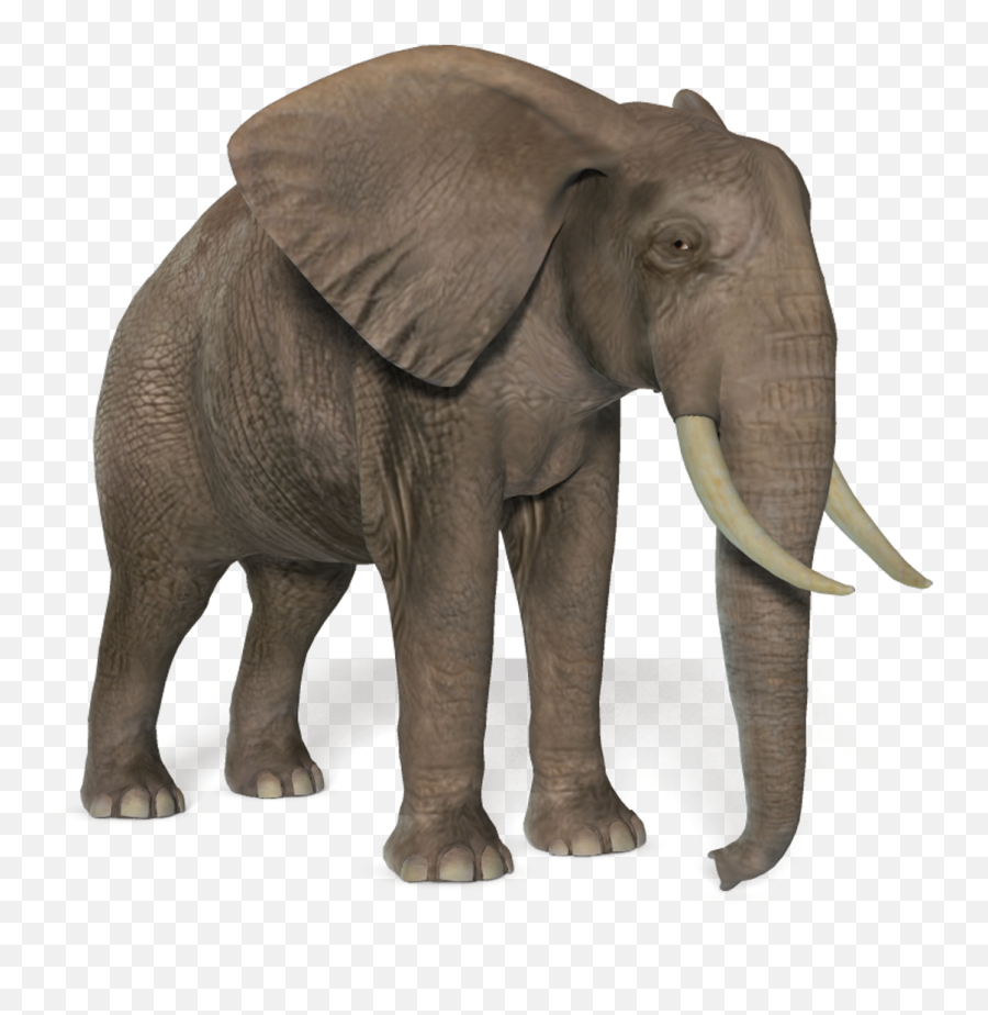 Elephant Png Picture - Transparent Background Elephant Png,Elephant Png