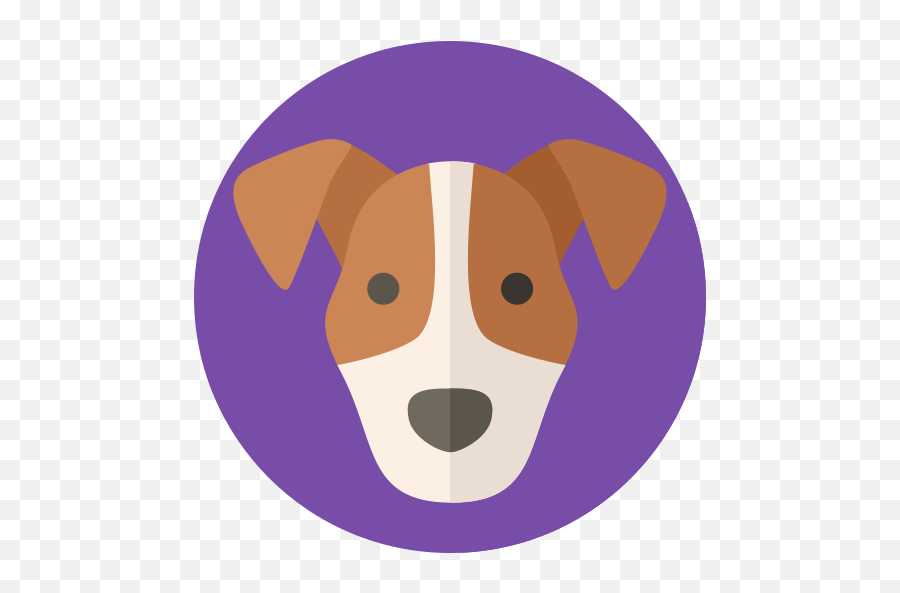 Best Waterbury Dog Walking And Training Ct Walkers - Soft Png,Dog Buddy Icon