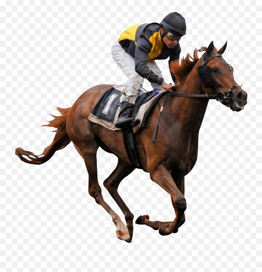 Caballo De Carreras Png Transparente - Race Horse Transparent,Caballo Png