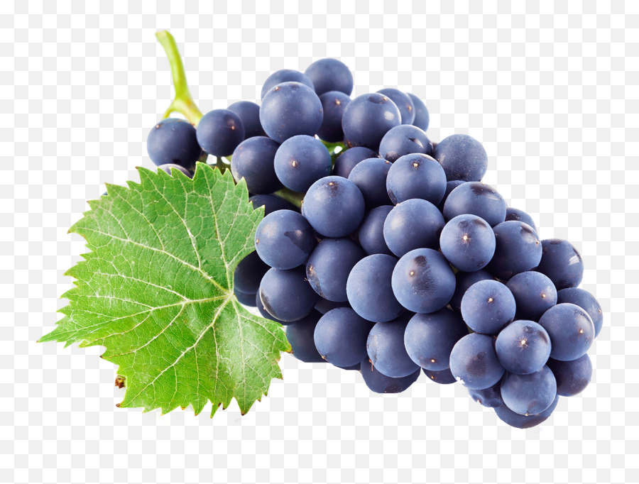 Black Grapes Png Download Image Arts - Grapes Png Transparent,Grapes Png
