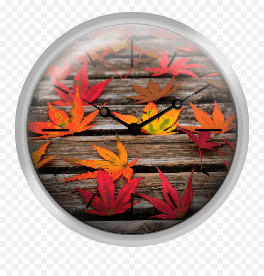 Japanese Maple Leaves - Wall Clock Png,Japanese Maple Png
