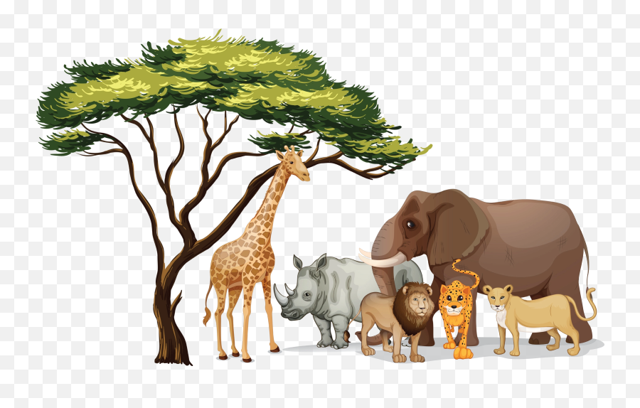 Pictures Of Jungle Animals Png - African Animals Clipart,Animals Png