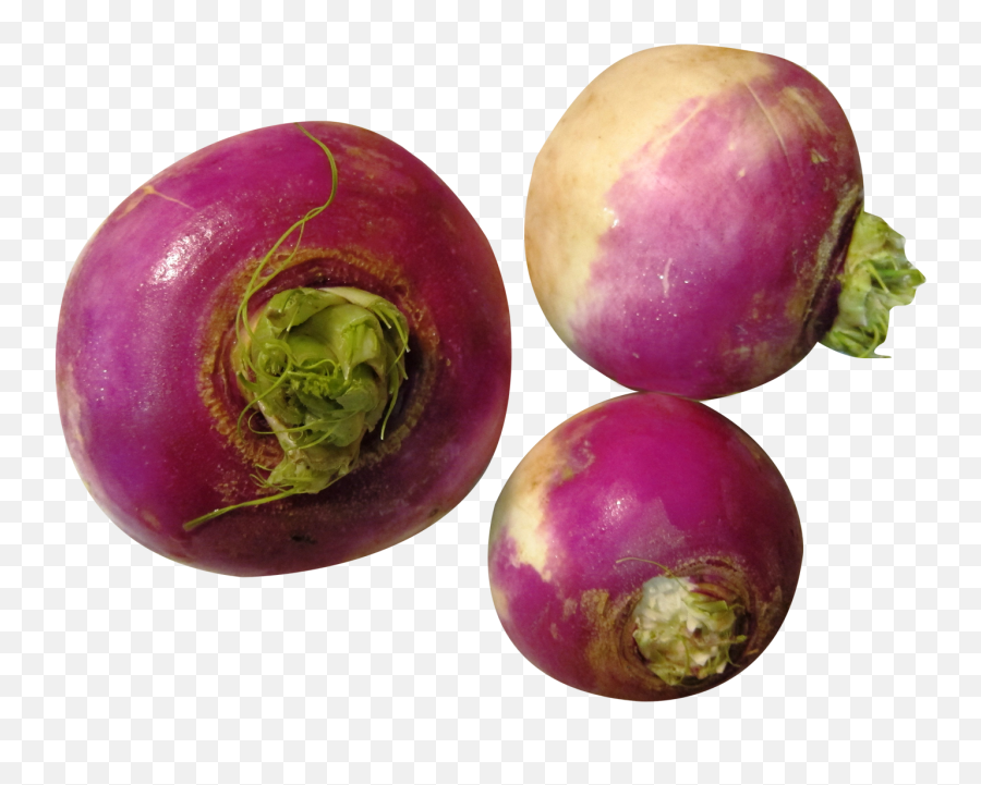 Download Turnip Png Image For Free - Turnip Png,Eggplant Transparent Background