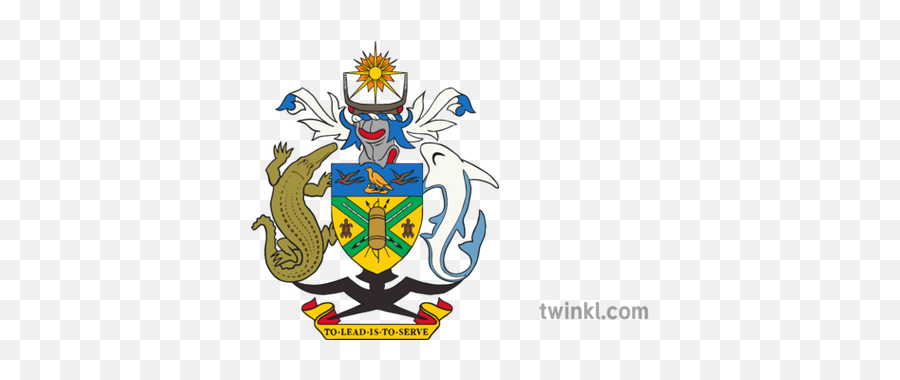 Solomon Islands Coat Of Arms Illustration - Twinkl Coronavirus Updates Solomon Islands Png,Coat Of Arms Png