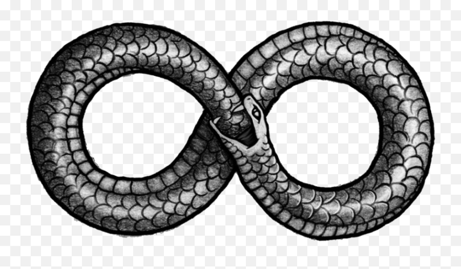 Ouroboros Png Transparent Images - Snake In Figure 8,Snake Transparent Background